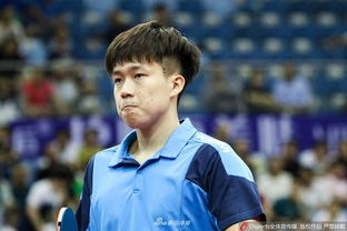 王楚钦3-0完胜艾哈迈德·科兰尼，展现超强实力！