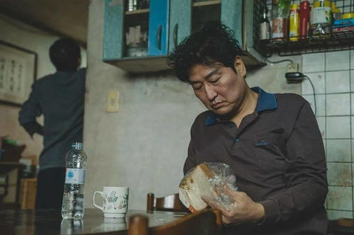 《寄生虫》：贫富差距下的社会缩影