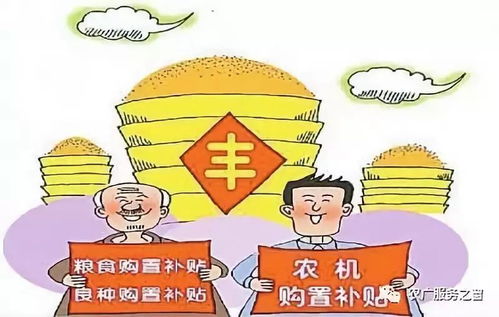 农民隐私泄露事件背后：谁动了我们的信息安全？