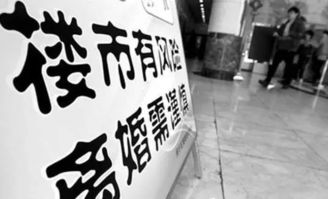 假离婚后丈夫拒复婚，女子起诉分割共同财产被驳回：法律与情感的双重考验