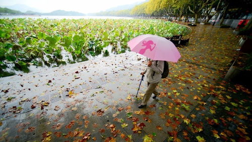又是阴雨天，1569的那些日子