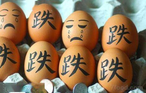 美国蛋荒催生“租鸡”热潮：一只母鸡的租金值不值？