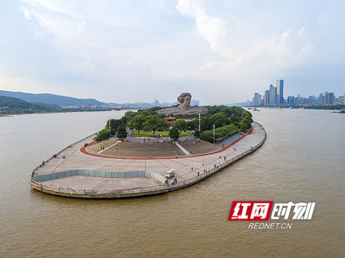 长沙橘子洲“黄牛”泛滥，景区回应来了！