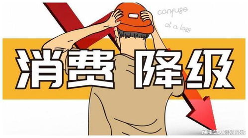 突然发现消费降级真的好爽！