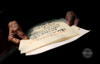 岁月的信笺：一封写给时光的情书