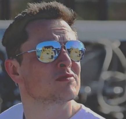 马斯克换头像背后：一场社交网络的狂欢还是资本市场的游戏？