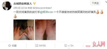 《漂白》版权争议：一个替身的发声与行业的反思