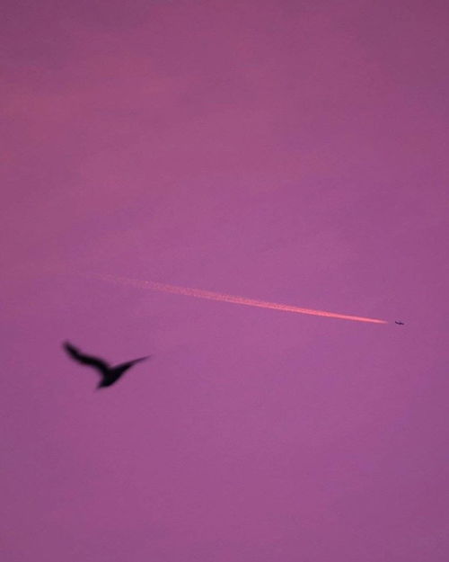 那些藏在文案里的爱意，让人心动不已