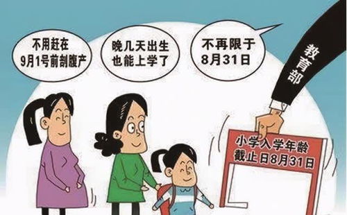 深度剖析：智力缺陷孩子在校被霸凌事件背后的真相与反思