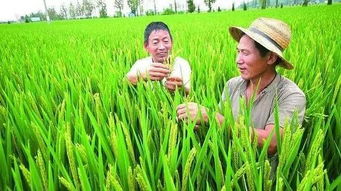 挑土才知土贵：在磨砺中成长的真谛