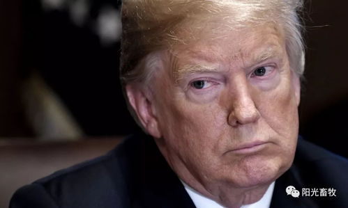 特朗普5000亿漫天要价，乌克兰能否承受？