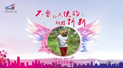 从公益天使到创业先锋：一位简书作者的阶段性总结