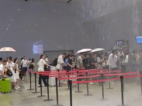 海南乘车遭涨价还被持刀威胁，乘客的惊魂经历与官方回应