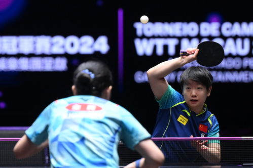 孙颖莎与张本美和的巅峰对决：一场青春风暴的较量