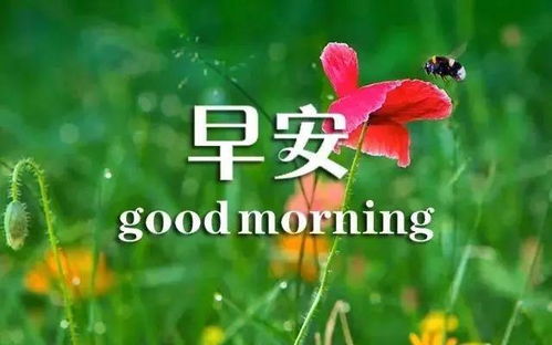 一段话感悟：生活中的取舍与成长