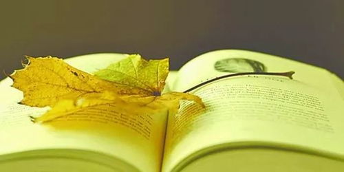 读书贵在选择：让每一页都值得你的时光