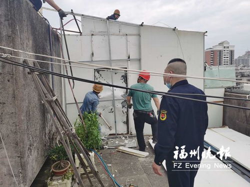 城管回应住户在楼顶种树：一场关于绿化与生活的平衡讨论