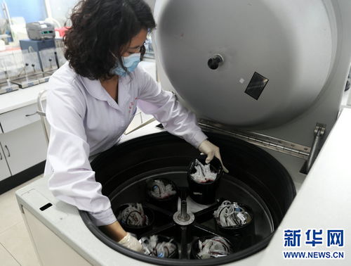 献血日历程：一个普通人的热血故事