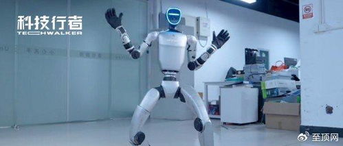 王兴兴：人形机器人年底跑速或将超越博尔特，未来已来！
