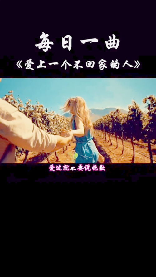 爱过就不要说抱歉：一场关于真心与释怀的旅程