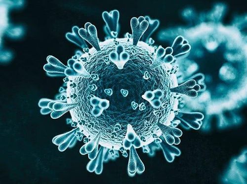 双层转染粒子：轮状病毒感染性复活效率的全新突破