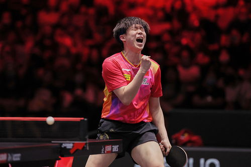 王楚钦九大赛冠军进度加一：从福冈到世界巅峰的王者之路