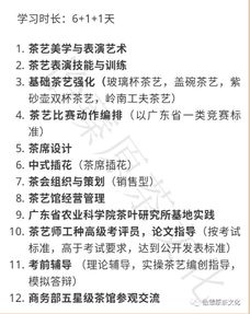 从《学习的学问》到实践：如何让学习成为一种高效习惯