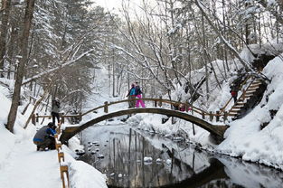 吉子湾的冬天：一段与冬日深情对话