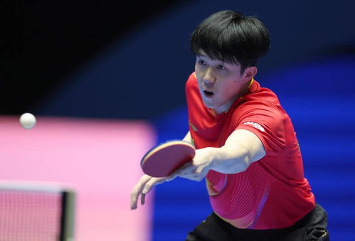 乒乓球亚洲杯圆满落幕！王楚钦4-0横扫梁靖崑夺冠，国乒豪取6枚奖牌