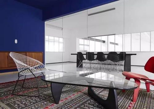 听《运动改造大脑》，从张爱敏工作室的视角解读运动与大脑的秘密