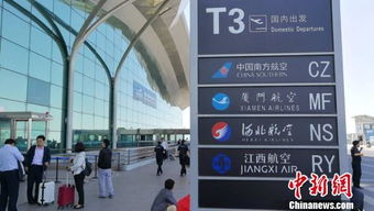 亲历新加坡航班返航事件：从惊恐到平安落地的全过程