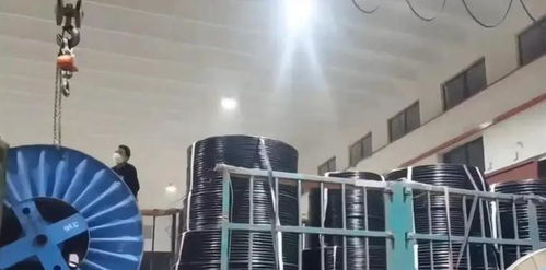 深圳企业员工如厕需“离岗证”？真相令人深思