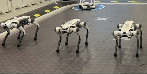人形机器人牵绳遛机器狗：科技与未来的奇妙碰撞
