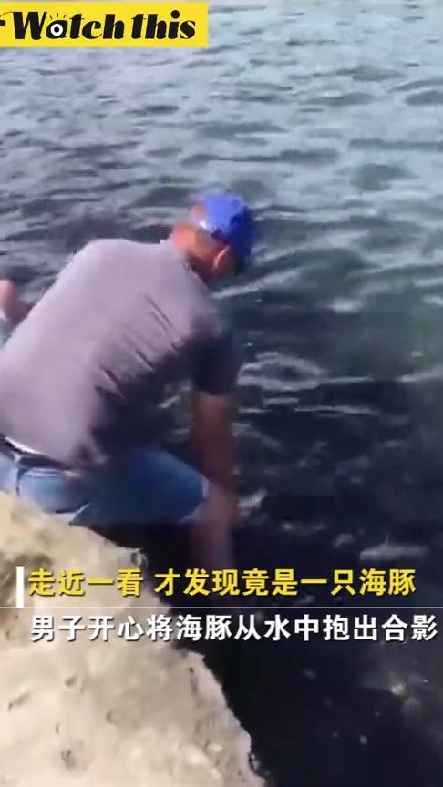 男子垂钓意外收获“大鱼”竟是猪：一场啼笑皆非的钓鱼奇遇记