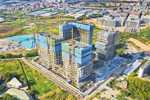 深圳：科技创新生态的奇迹之城