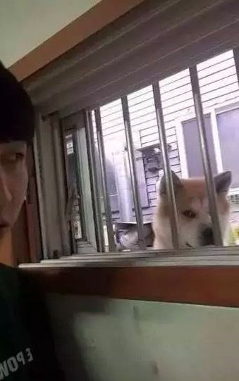 曝光隔壁大爷偷窥事件：真相与反思