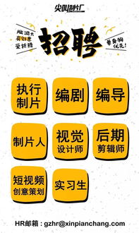 新同事入职记：从校园到职场的蜕变之旅