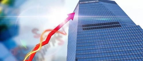 马光远：房地产风险已释放，未来市场走向如何？