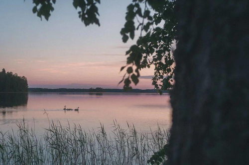 梦里故人：一场跨越时空的重逢
