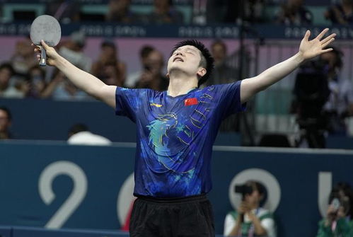 樊振东逆转张本智和，意志力成就经典之战