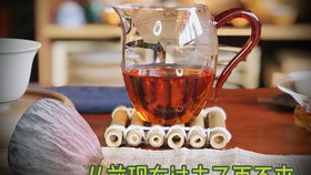 小王子Chapter11：在沙漠中遇见玫瑰的那一天