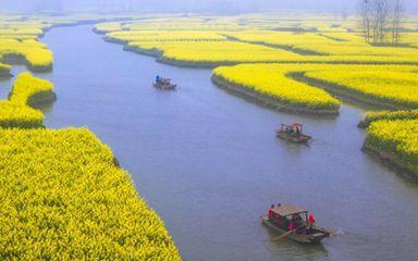 博主四个月曝光10余条河流受污染：一个普通人的环保之路