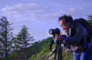 暮去朝来：在时光中寻找自我