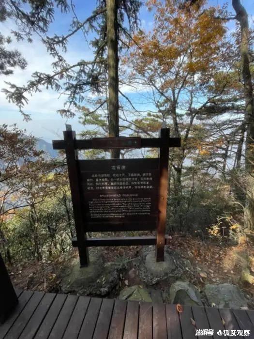 女孩逃票进景区后坠亡，景区被判无责：一个悲剧背后的警示