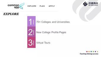 IFmut教程第二期：Category和Epigenetics模块的深度解析