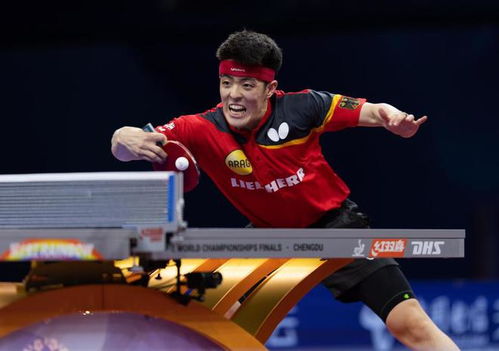 梁靖崑与林诗栋巅峰对决：一场热血沸腾的乒乓大战