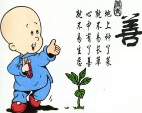 感恩时光：那些让生活更美好的瞬间