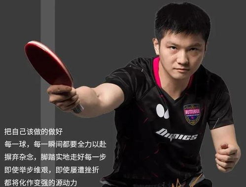 樊振东重返微博：繁星与乒乓的奇妙碰撞