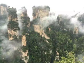 张家界导游被指埋怨游客不消费：一场关于旅行与人性的深刻思考