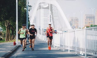 周末长距离骑行：一次自我挑战的青春之旅